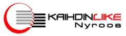 Kaihdinliike Nyroos Oy